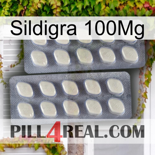 Sildigra 100Mg 07.jpg